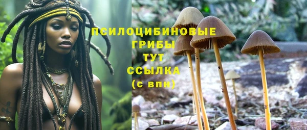 ECSTASY Беломорск
