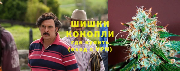 метадон Богородицк